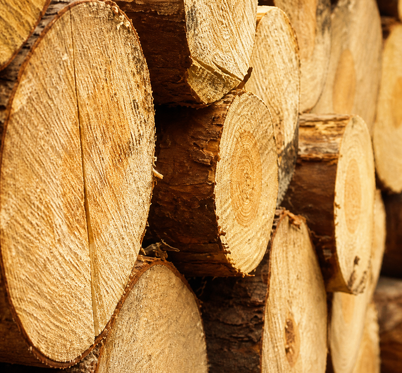 Rollenholz in der Tischlerei