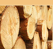 Rollenholz in der Tischlerei